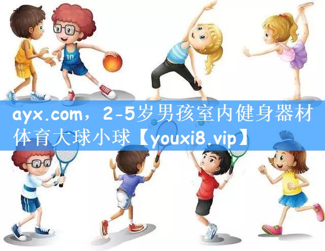 ayx.com,2-5岁男孩室内健身器材体育大球小球