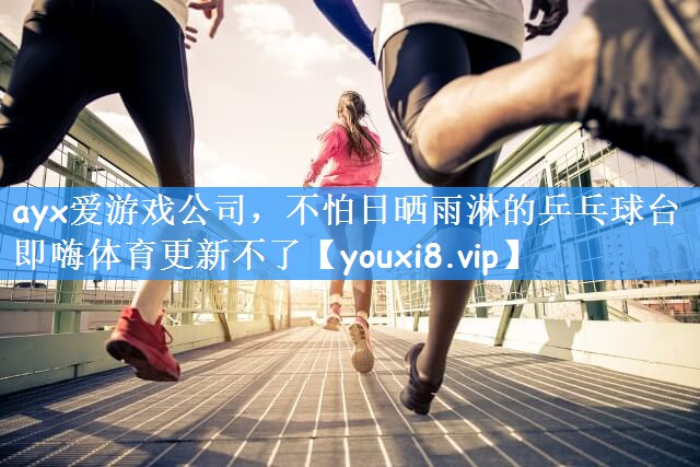 ayx爱游戏公司,不怕日晒雨淋的乒乓球台即嗨体育更新不了